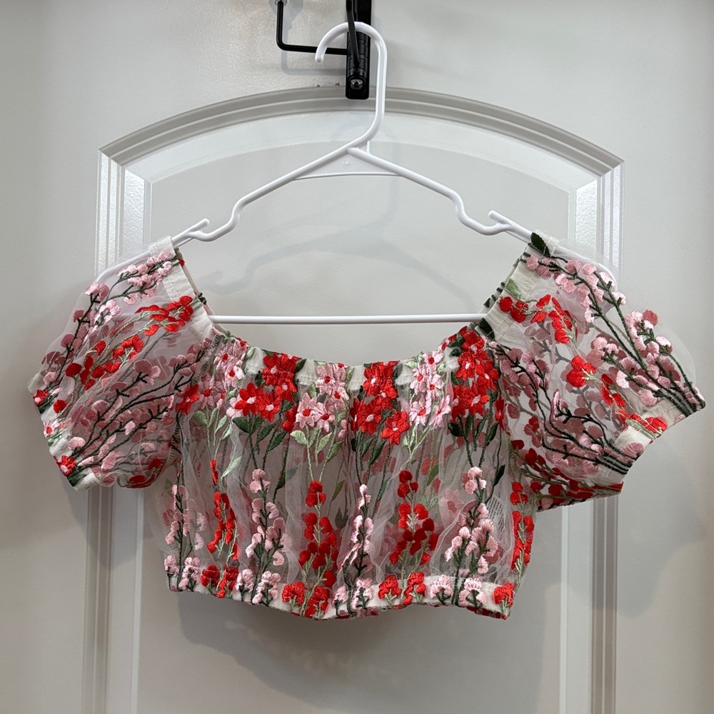 Pins & Needles Red and Pink Floral Embroidered Crop Top